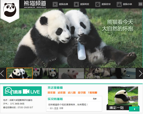极具吸引力的熊猫主题网站：iPanda 熊猫频道