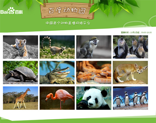 中国首个动物网络直播平台：百度动物园